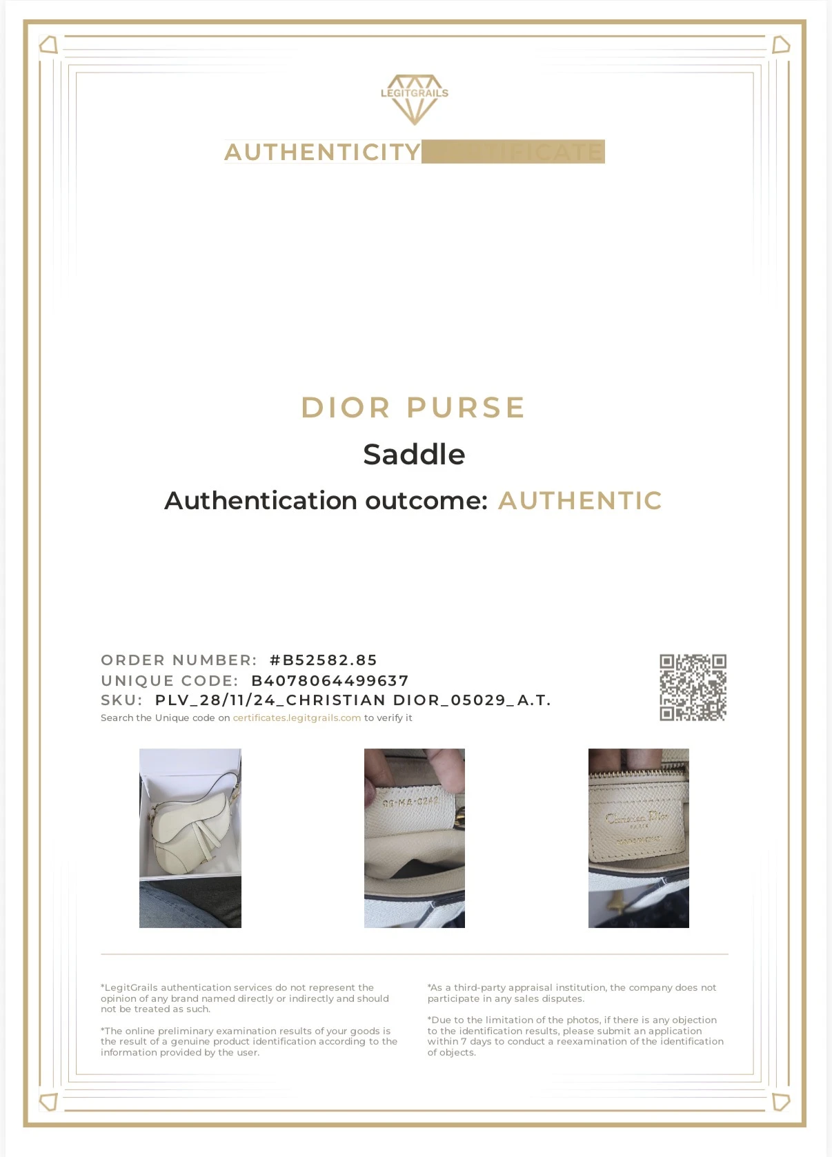 Dior Saddle