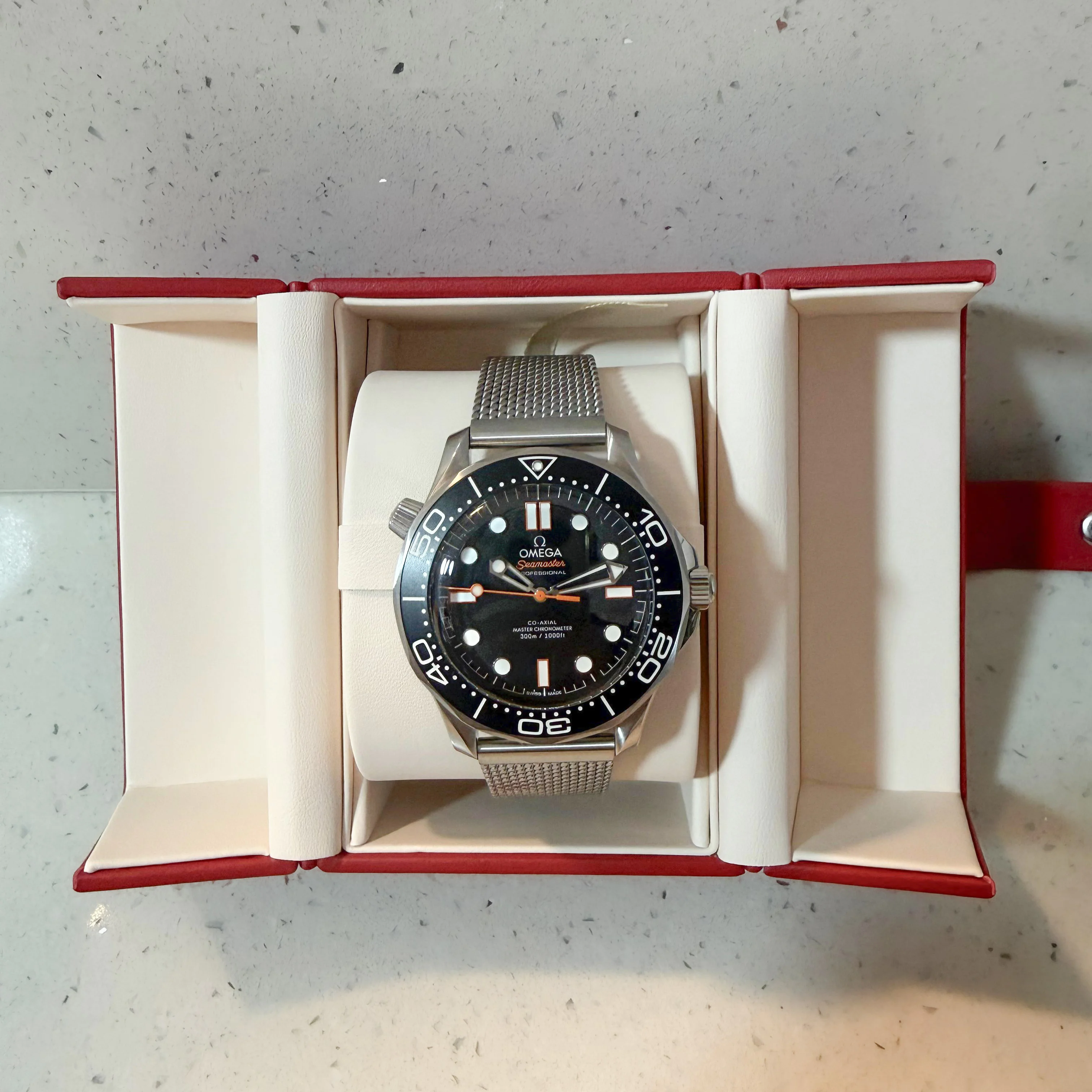 Omega Seamaster Diver 300M 210.30.42.20.01.018