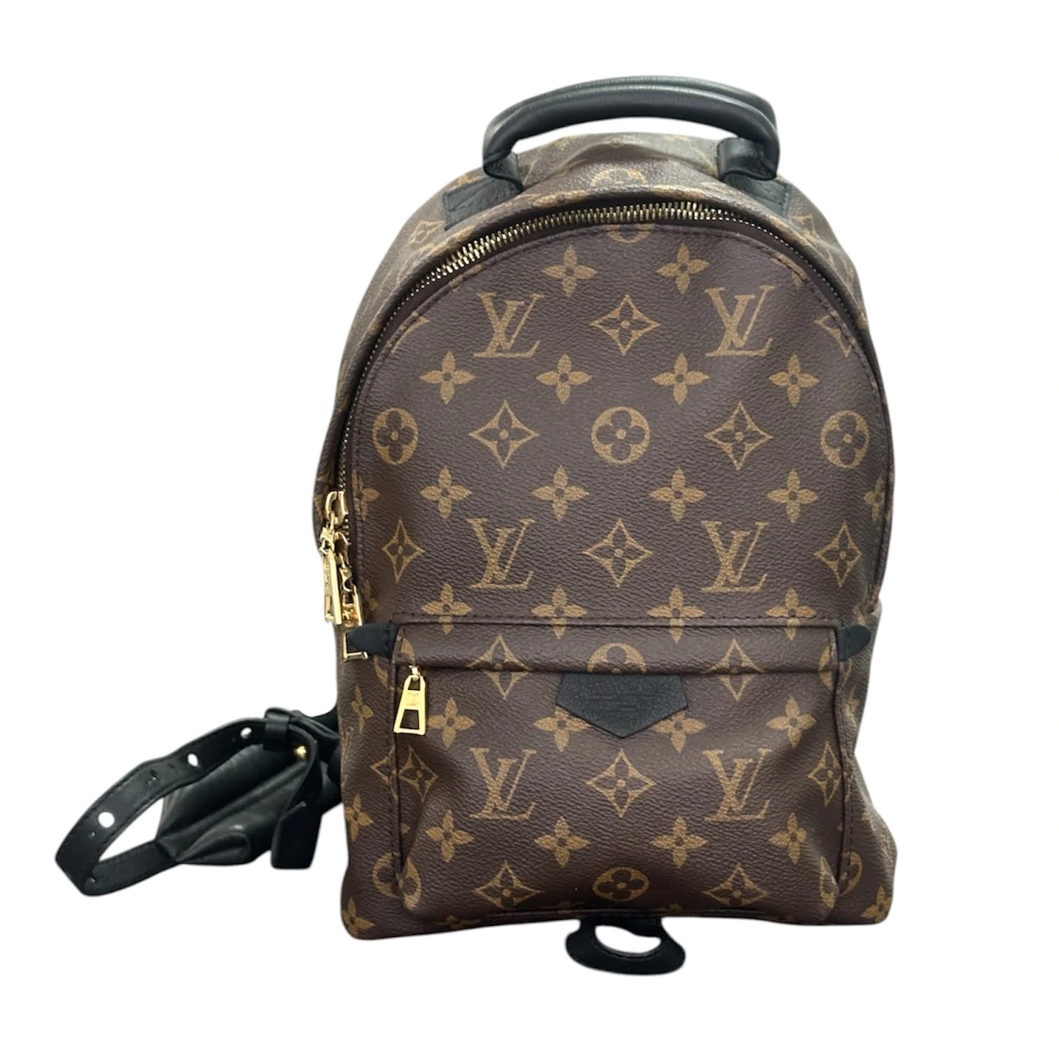 Louis Vuitton Palm Springs PM