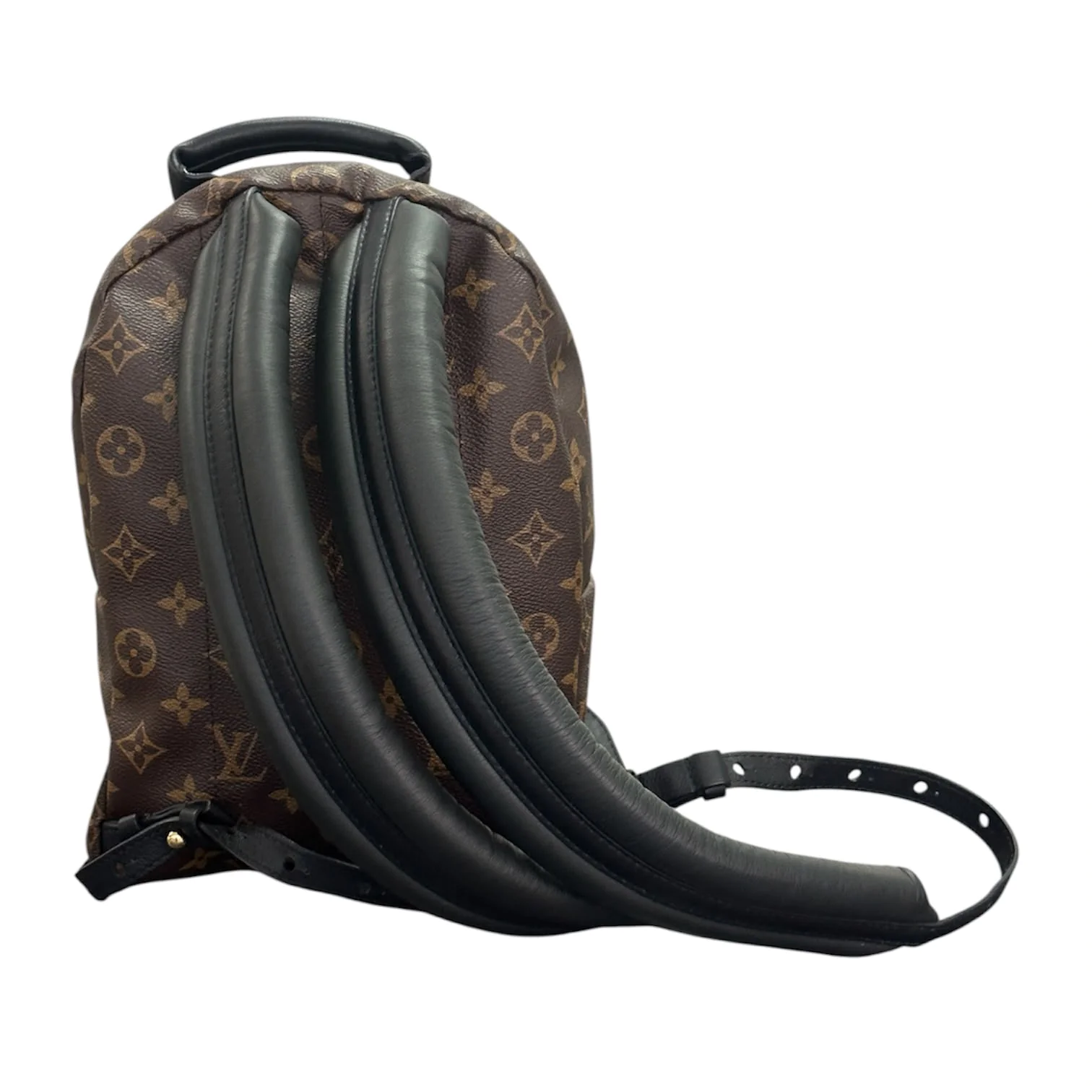 Louis Vuitton Palm Springs PM