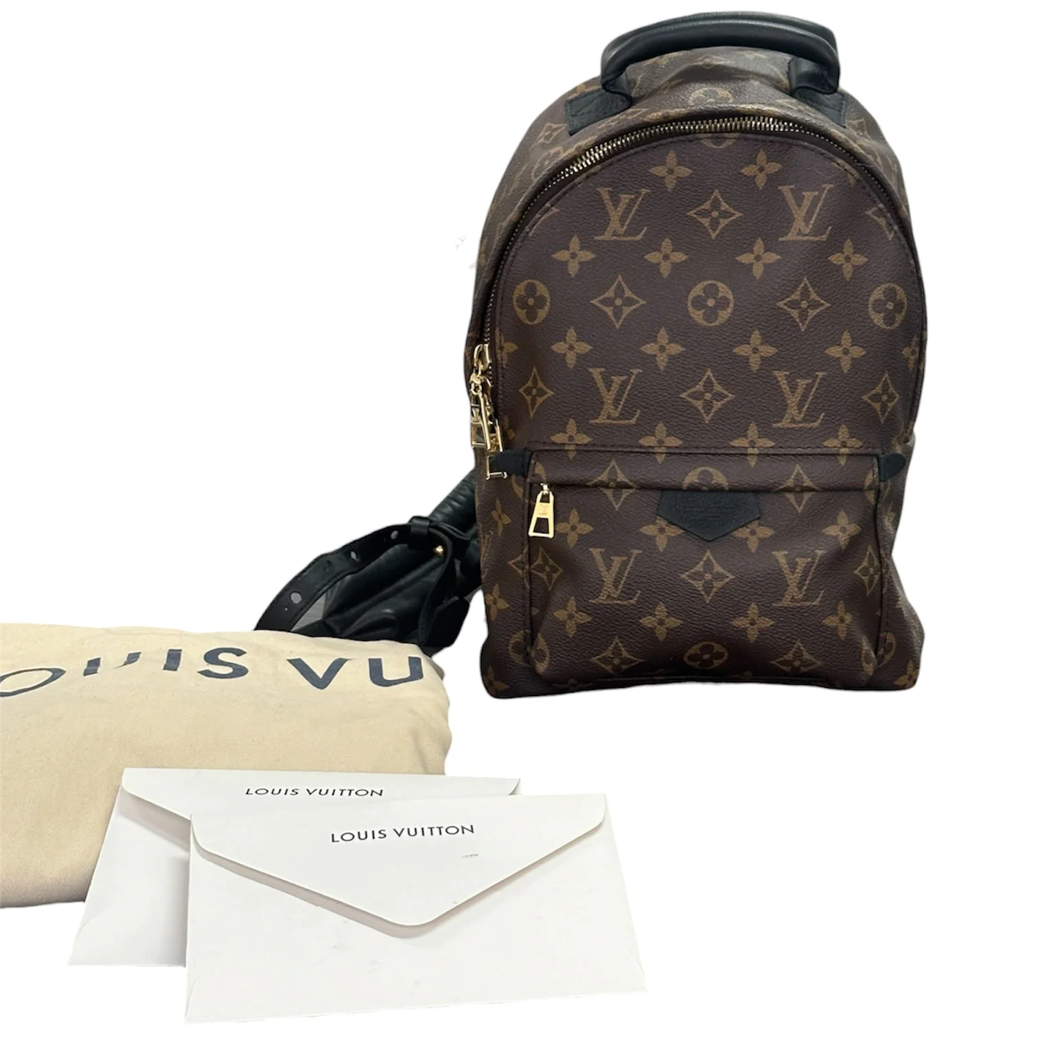 Louis Vuitton Palm Springs PM